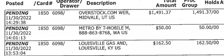 Fraudulent charges to bank account